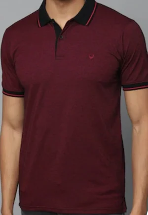 Snag This Stylish Maroon Polo T-Shirt from Allen Solly!