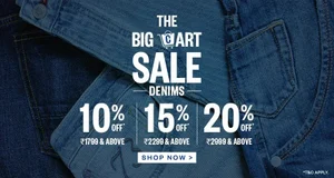 Unlock Up to 20% Off in The Big Cart Sale!