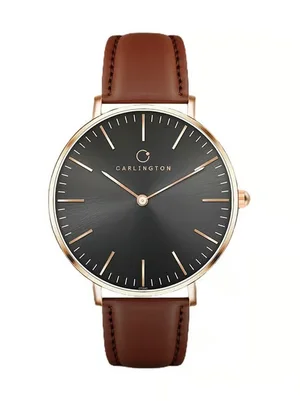 Grab Up to 84% Off on Carlington Analog Watches!