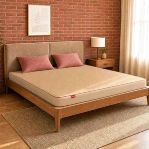 Get 10% Off & 100 Nights Free Trial on Dual Roll Pack Mattress!