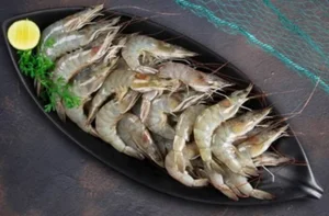 Grab Fresh Desi Prawns – 500g for Your Meals!