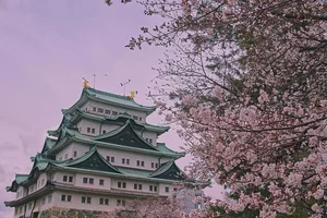 Explore Japan: Up to 50% Off Sightseeing Activities!
