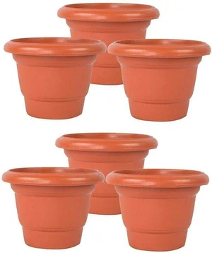 Stylish 6-Pack of 8-Inch Decorative Plant Pots!