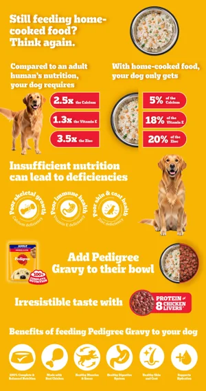 Grab Your Free Pedigree Dog Food Sample Now!