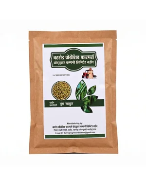 Grab Whole Green Moong Sabut 500 gm - Limited Time Offer!